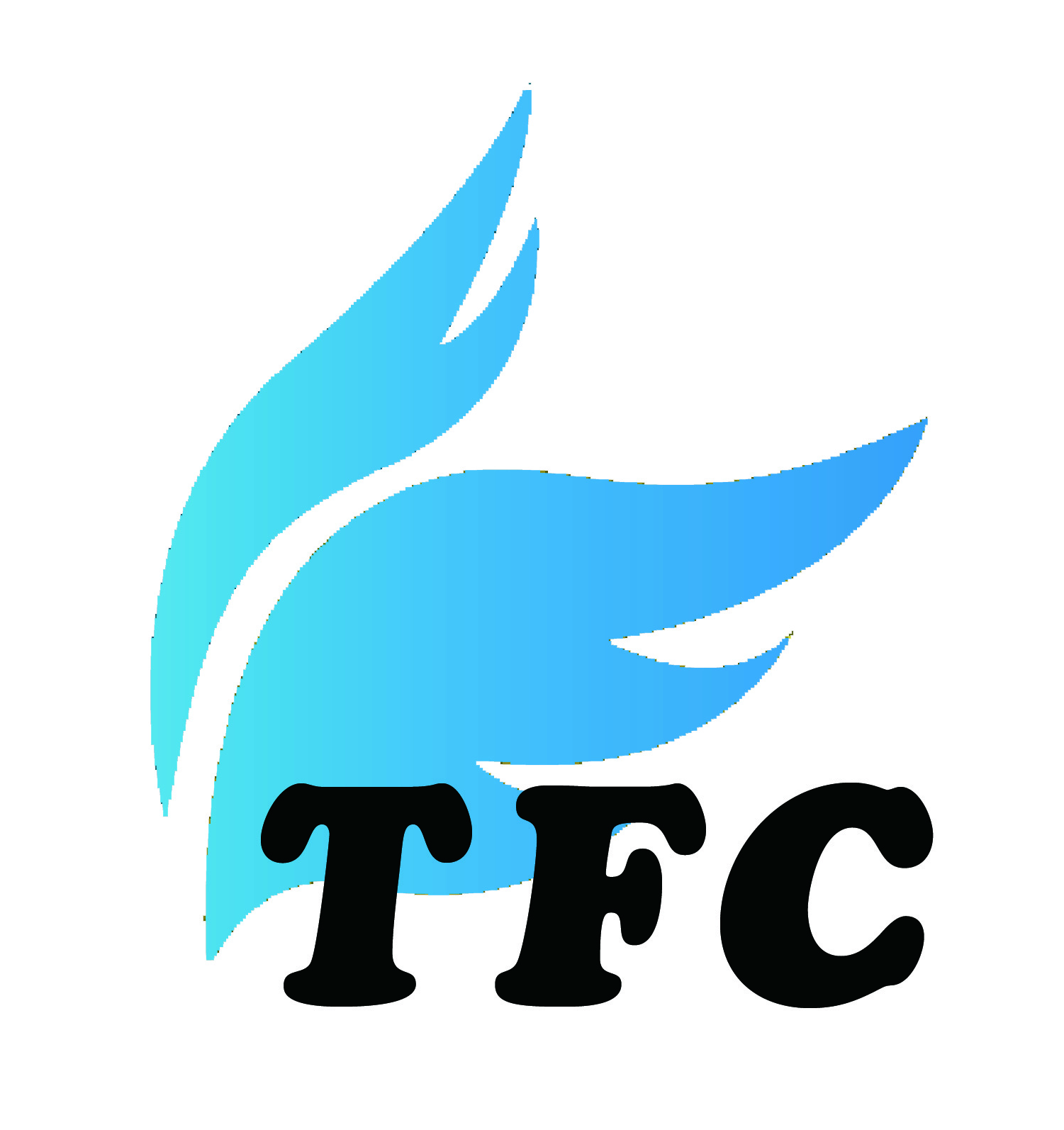 株式会社ティー・エフ・シー